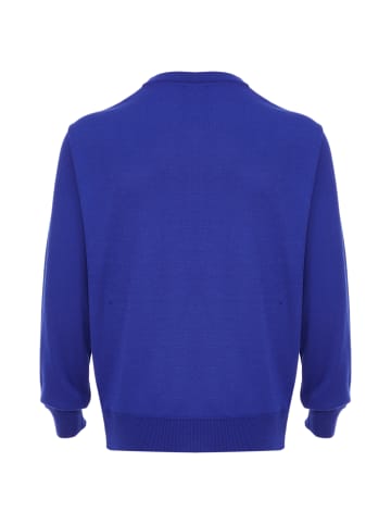 rovic Pullover in Blau