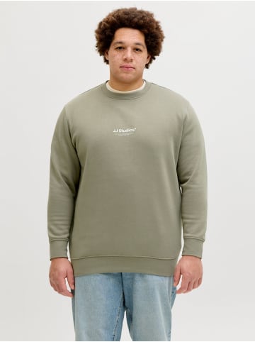 JACK & JONES PLUS Sweatshirt in Vetiver