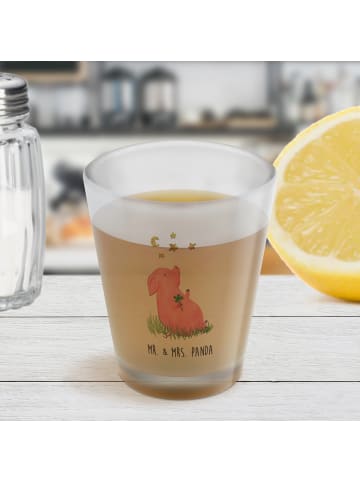 Mr. & Mrs. Panda Schnapsglas Schwein Glück ohne Spruch in Transparent