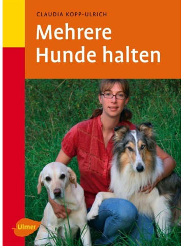 Ulmer Mehrere Hunde halten