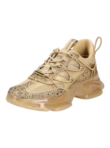 Steve Madden Sneaker in Gold