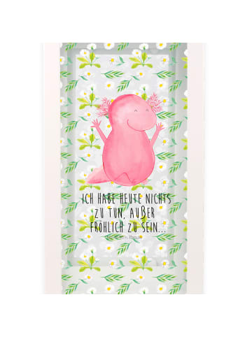 Mr. & Mrs. Panda Laterne Axolotl Hurra mit Spruch in Transparent