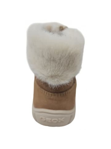 Geox Winterstiefel Omar in Beige