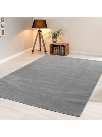 Astra Hochflorteppich 1 in Grau