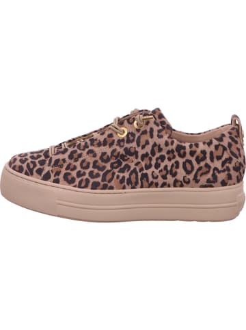 Paul Green Klassischer Schnürschuh in beige