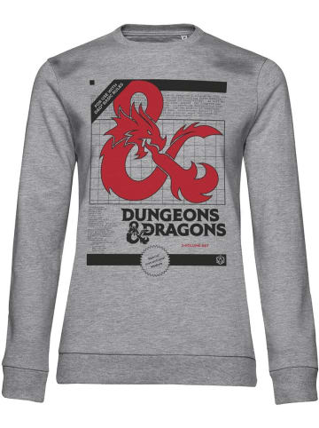Dungeons And Dragons Pullover "D&D" in Grau