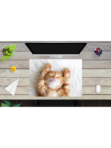 Cover-your-desk.de  Schreibtischunterlage – “Süßes Katzenbaby beim Schlafen“ (L)70 x (B)50 