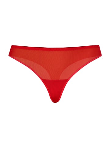 Teyli Mesh Tanga Nikola in rot