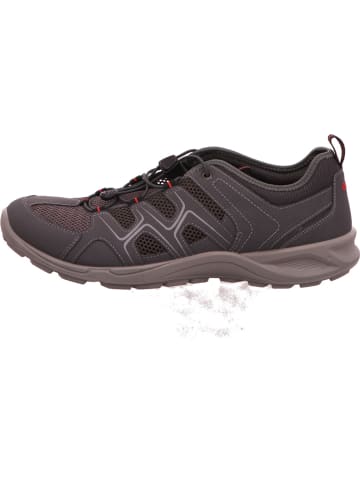 Ecco Sneaker in grau