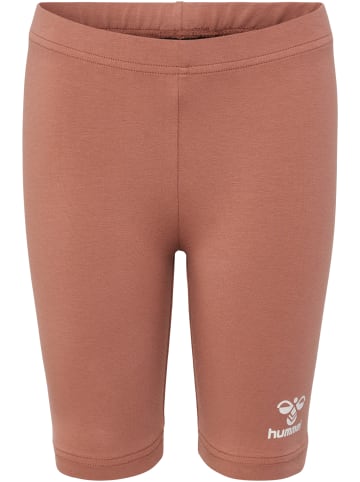 Hummel Hummel Kurze Hose Hmlflowy Mädchen in COPPER BROWN