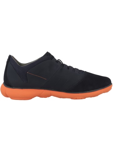 Geox Sneaker low U Nebula B in blau