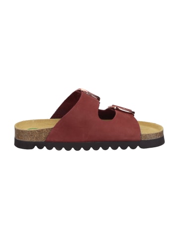 Dr. BRINKMANN Klassische Pantoletten in bordeaux