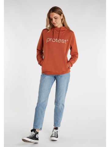Protest " CLASSIC LOGO HOODY in Squirrelbrown