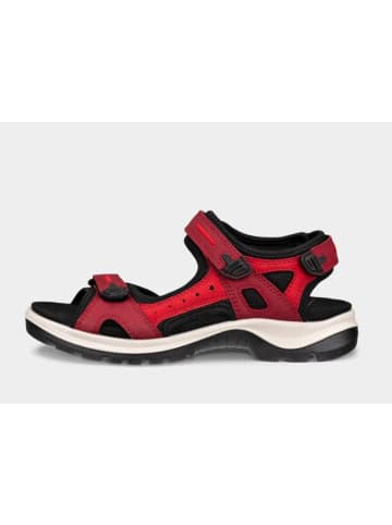 Ecco Sandalette in rot