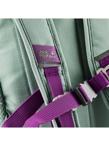 Jack Wolfskin Little Scout Kinderrucksack 29 cm in green zinnia