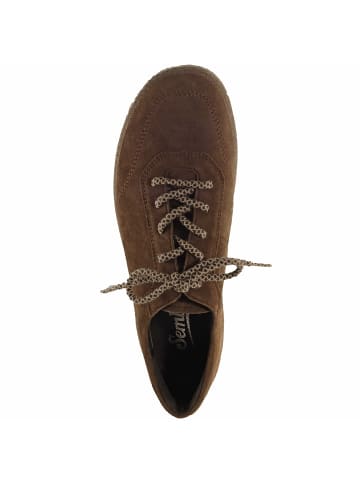 Semler Sneaker Low in braun