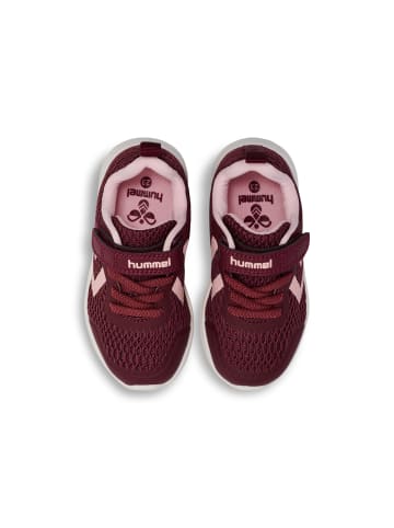 Hummel Hummel Klettverschluss Sneaker Actus Ml Lebensstil Kinder in VINEYARD WINE