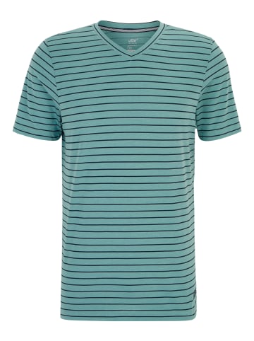 Joy Sportswear T-Shirt JANOSCH in lake green stripes