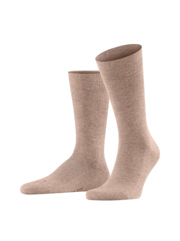Falke Socken 1er Pack in Hellbraun