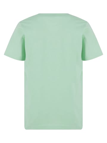 Mister Tee T-Shirt in neomint