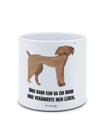 Mr. & Mrs. Panda Keramik Blumentopf Hund Dogge mit Spruch in Weiß
