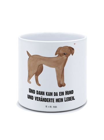 Mr. & Mrs. Panda XL Blumentopf Hund Dogge mit Spruch in Weiß