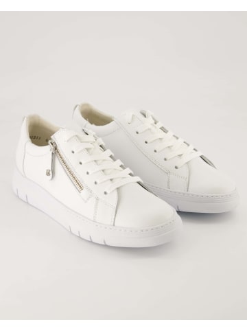 Paul Green Sneaker low in Weiß