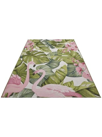 Flair Indoor Outdoor Teppich Tropical Flamingo in Multicolor