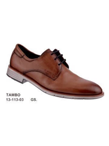LLOYD Schnürschuhe TAMBO in braun