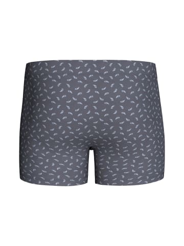 Impetus Boxershorts IM1222P12P2 in grau