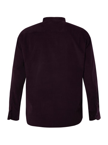 Boston Park Hemd in dunkel violett
