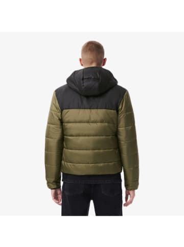 Lacoste Jacke in OLIVE 06Y/NOIR