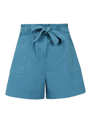 Protest " PRTEMMA in Raku Blue