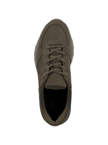 Ecco Sneaker low Exostride in gruen