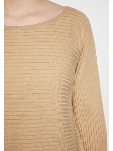 Usha Women Pullover in BEIGE