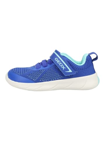 Geox Barfußschuhe Sneaker FOOT-RUN Royal