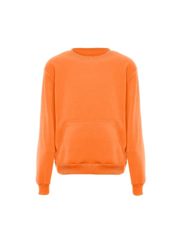 VINAJA Men Sweatshirt in Orange