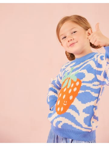 Oilily Kiwi Pullover in Blau