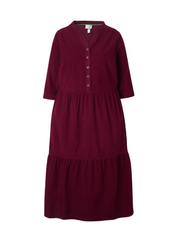 Ulla Popken Midikleid in weinrot