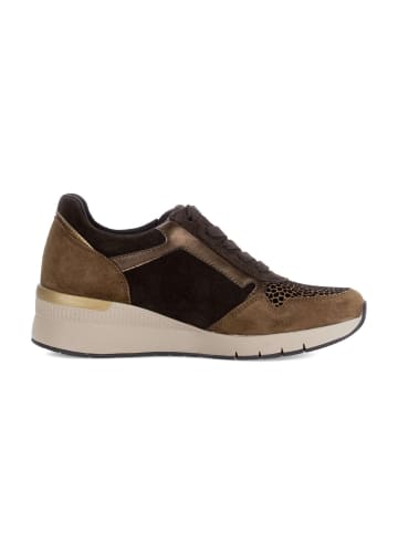 Gabor Sneaker low in braun