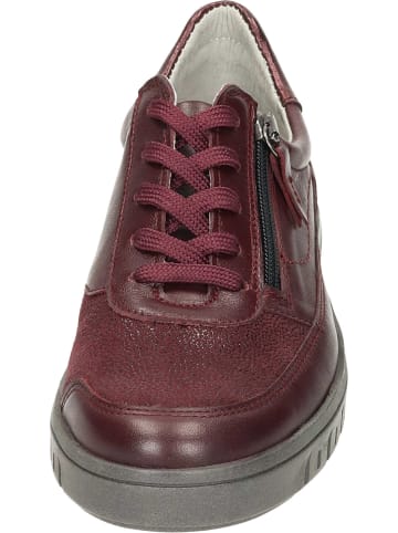 Comfortabel Schnürschuhe in bordeaux