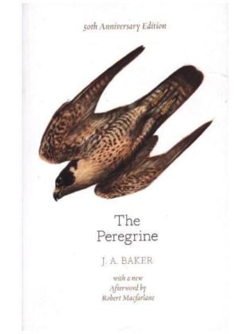 HarperCollins Buch - The Peregrine: 50th Anniversary Edition