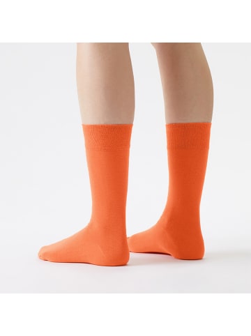 von Jungfeld Classic Socken-Set Signature Innenbund in Rainbowstreet