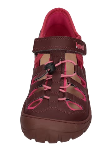KOEL Sandalen MADISON  in rot