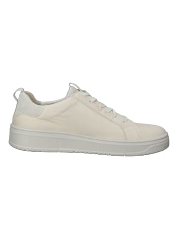 Legero Sneaker in Taupe