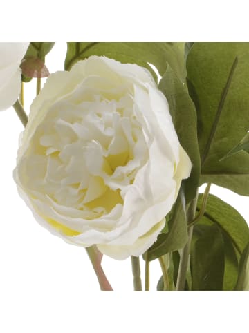 MARELIDA Pfingstrose mit 2 Blüten und Knospe in weiß - H: 75cm
