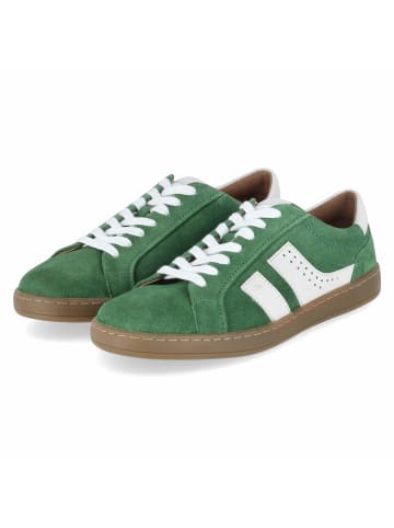 Josef Seibel Schnürhalbschuh in grün