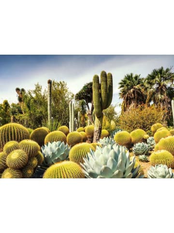 Ravensburger Ravensburger Puzzle 1.000 Teile The Huntington Desert Garden, Kalifornien, USA in bunt