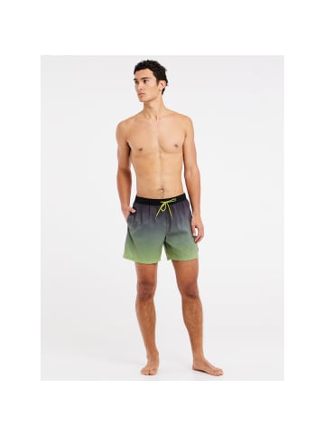 Protest M PRTKRABI BEACHSHORT in Grün
