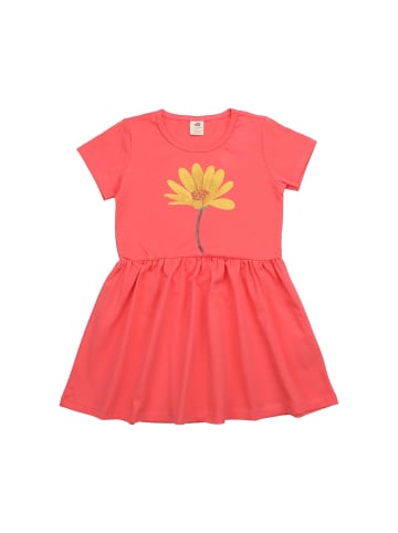 Walkiddy Kleid Hummingbirds Around Flowers-Dress